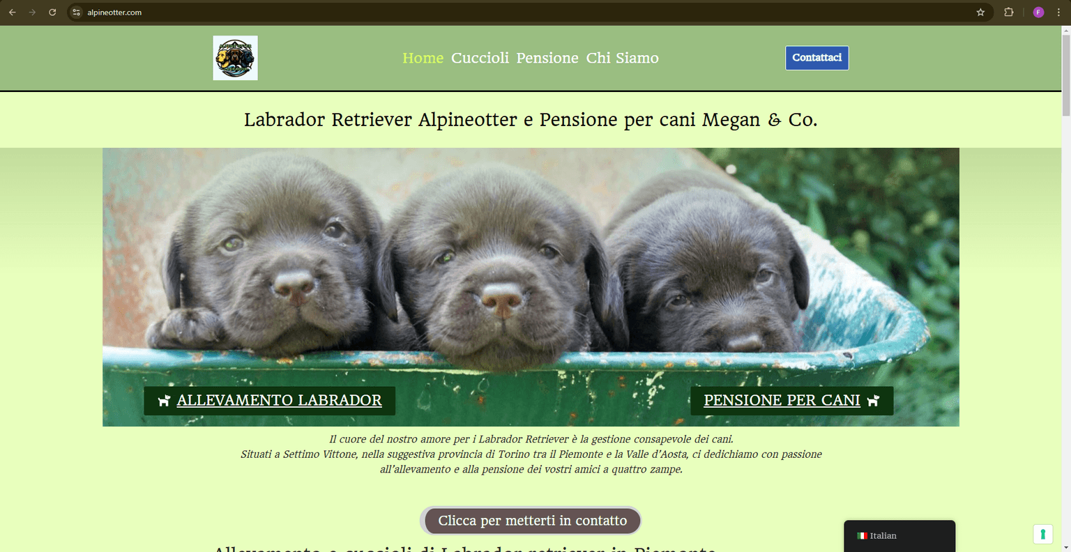 Sito Web Custom - Alpineotter