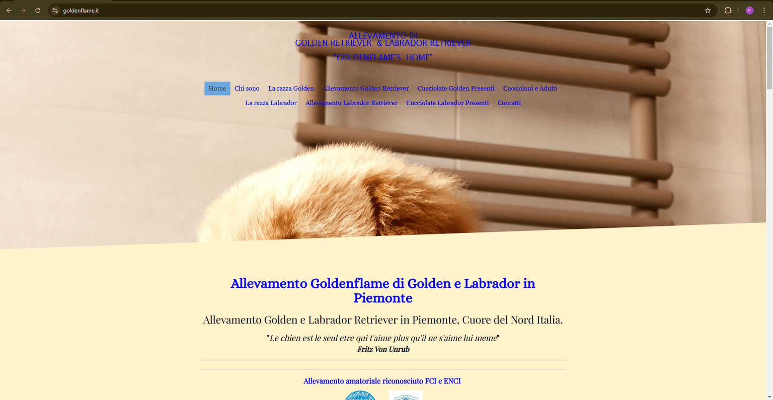 Sito Allevamento Golden Retriever