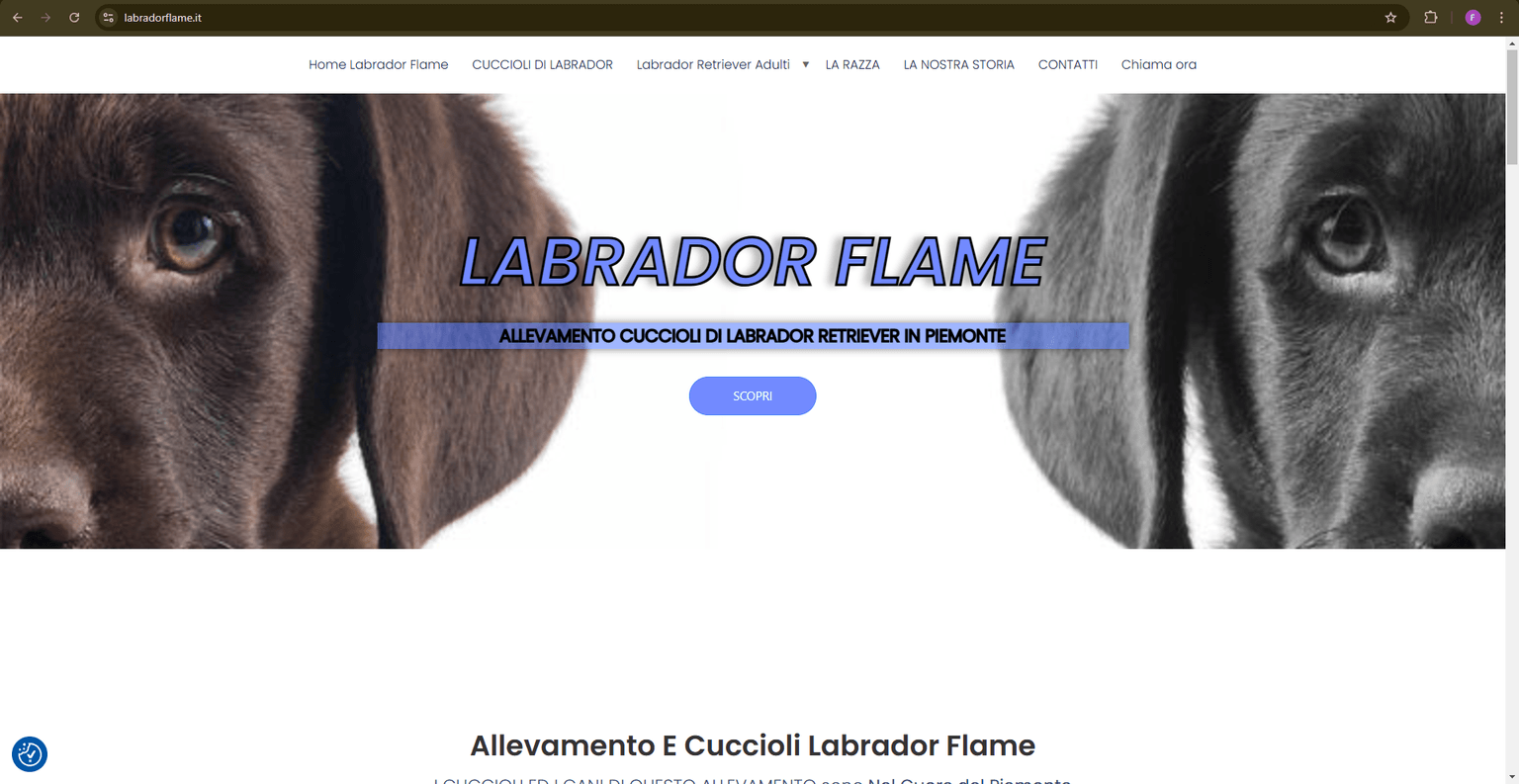 Sito Allevamento Labrador